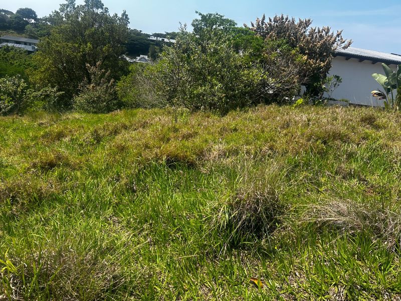 A view of a sloped, grass-covered residential plot featuring established trees and surrounding greenery.