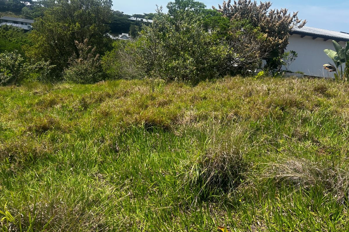 A view of a sloped, grass-covered residential plot featuring established trees and surrounding greenery.