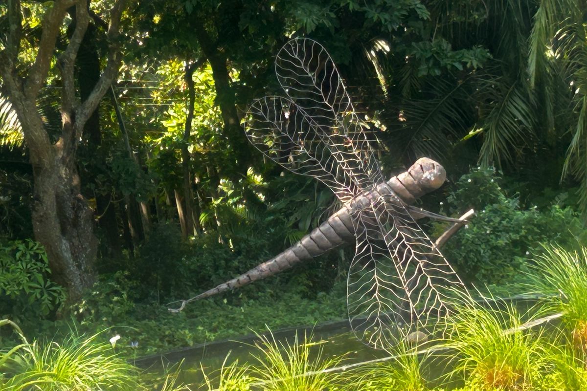 A lush, landscaped garden area featuring mature trees, ornamental grasses, and a decorative water feature with a dragonfly sculpture.