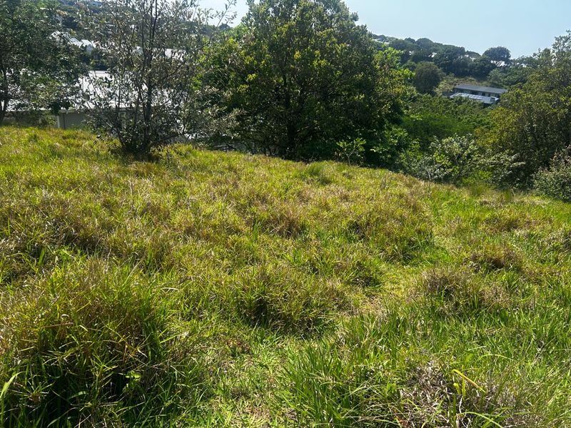 A view of a sloped, grass-covered vacant residential plot featuring mature trees and surrounding neighborhood vegetation.