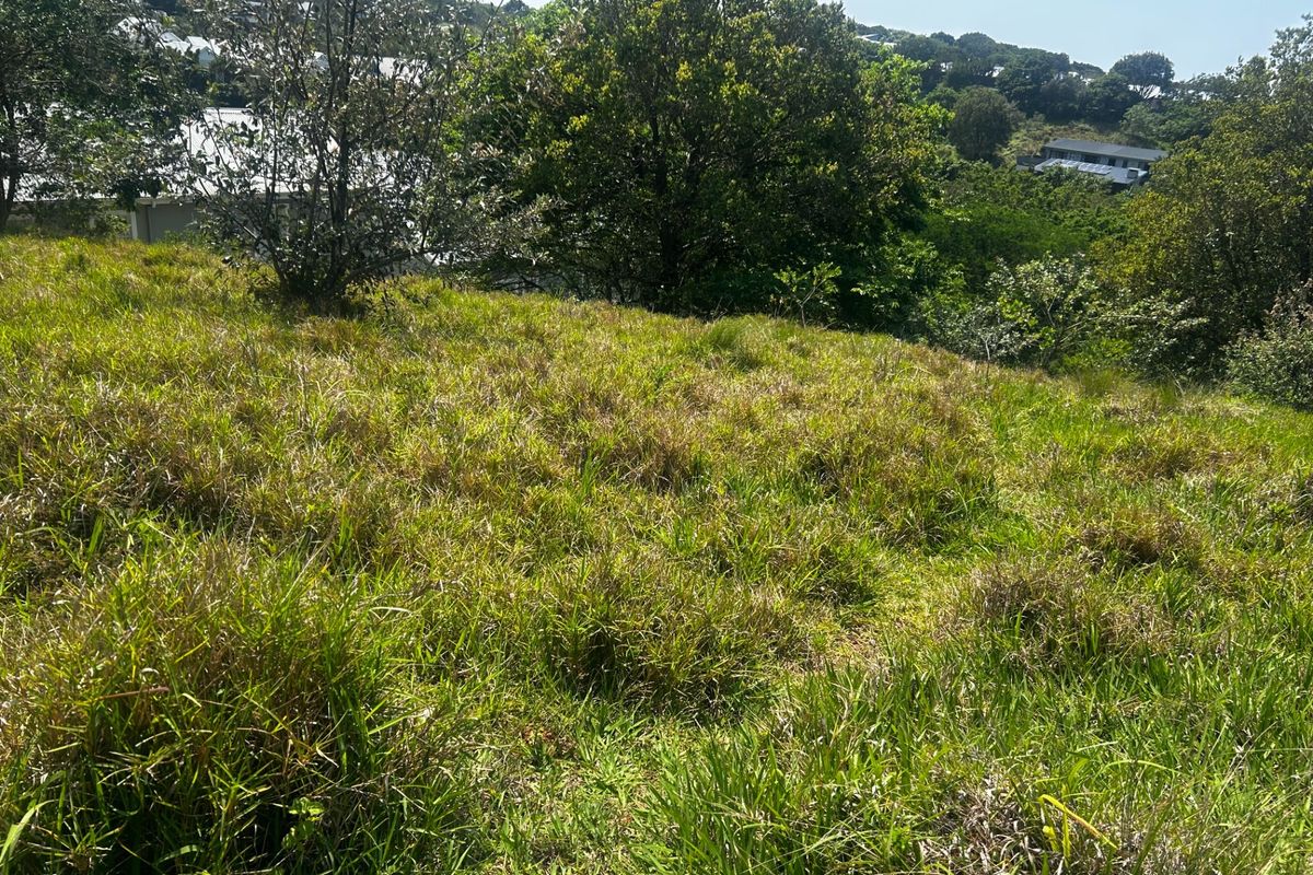 A view of a sloped, grass-covered vacant residential plot featuring mature trees and surrounding neighborhood vegetation.