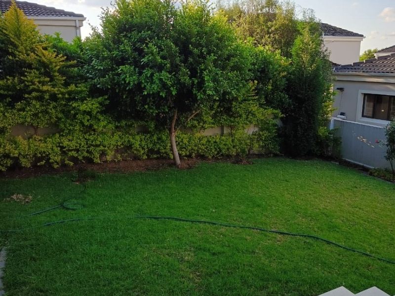 A well-maintained private garden featuring a neat lawn, established perimeter hedging, and a tiled patio area.