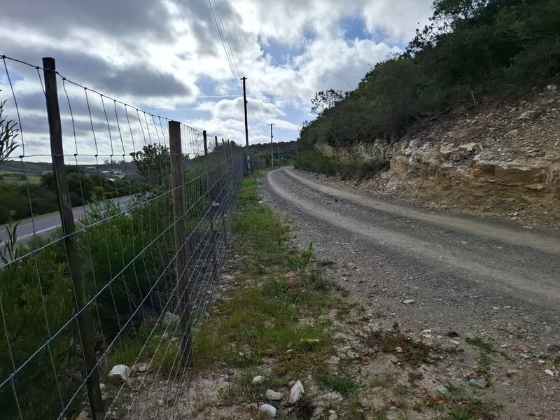 A view of the gravel access road bordering the property, featuring wire mesh fencing and a natural rock embankment.