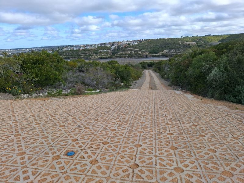 A scenic view overlooking a paved driveway leading towards a coastal landscape with distant residential development and natural vegetation.
