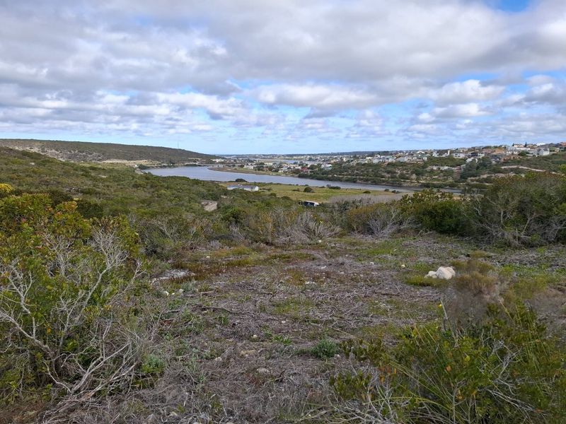 A scenic elevated view overlooking the river, surrounding natural landscape, and distant coastal residential area.