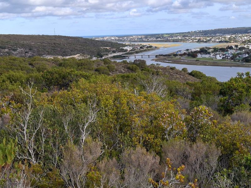 Elevated panoramic view overlooking the estuary, surrounding coastal landscape, and distant residential development.