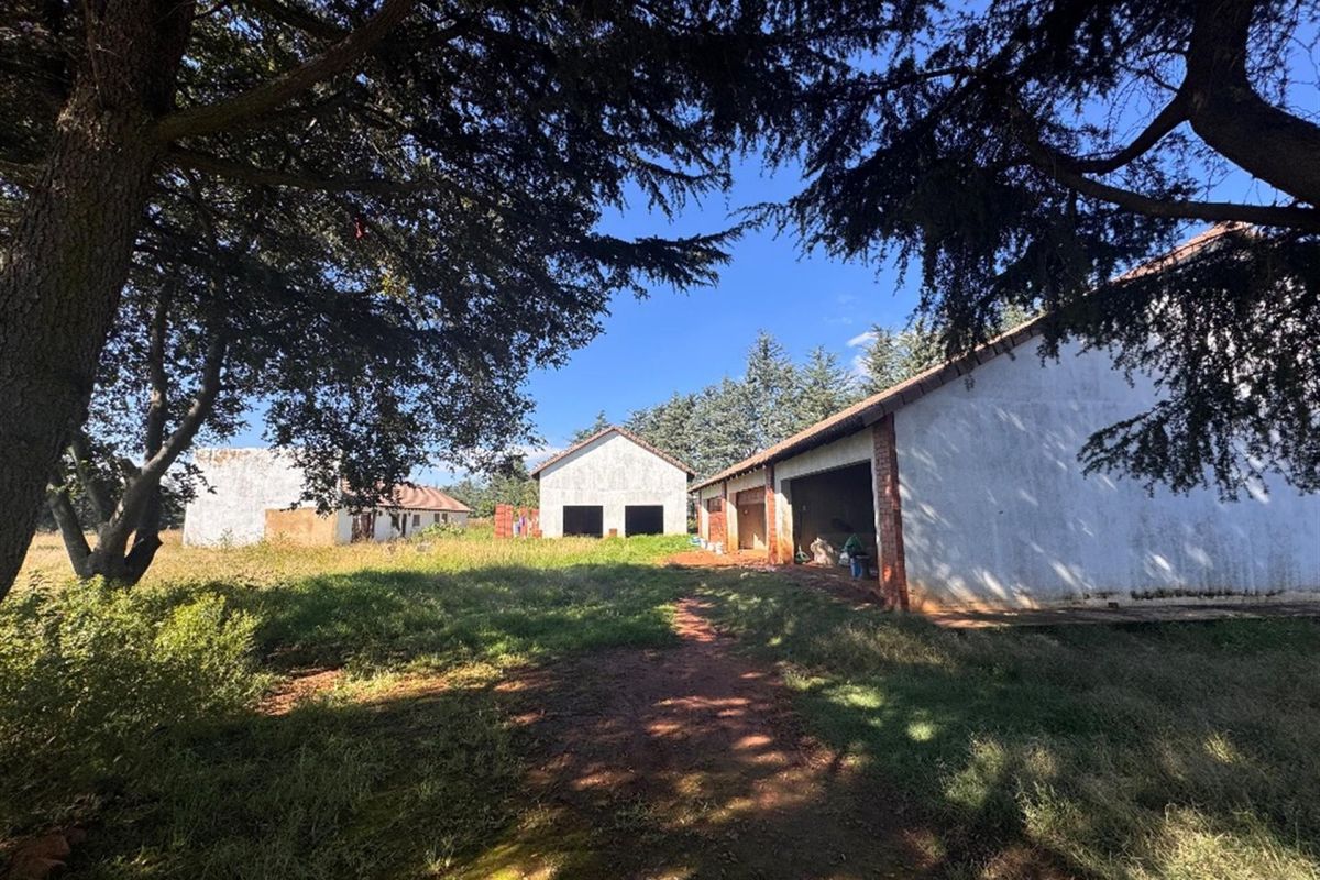 A view of multiple outbuildings set within a large, overgrown garden area featuring mature trees and an unpaved access path.