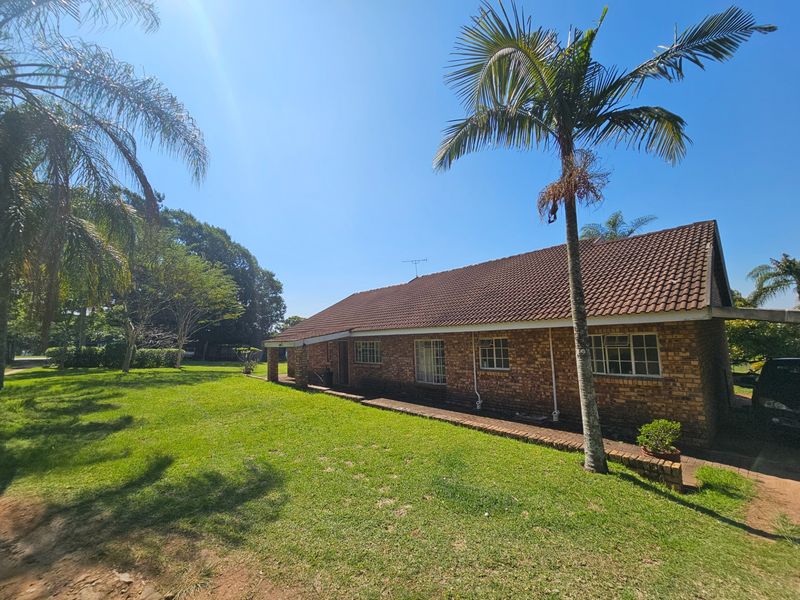 A view of the rear brick facade of the house, featuring a tiled roof, steel-framed windows, and a surrounding lawn area.