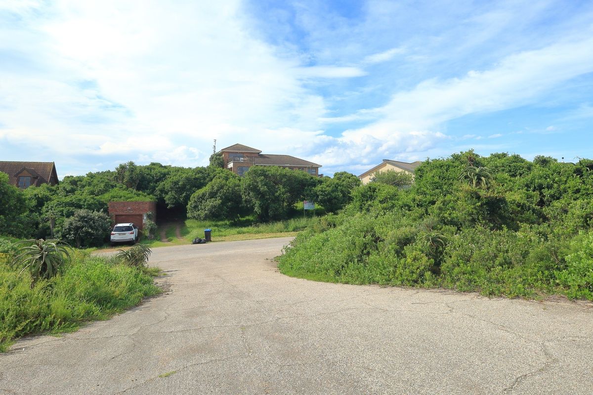 A view of the paved street and access road leading towards the residential property, surrounded by established coastal vegetation.