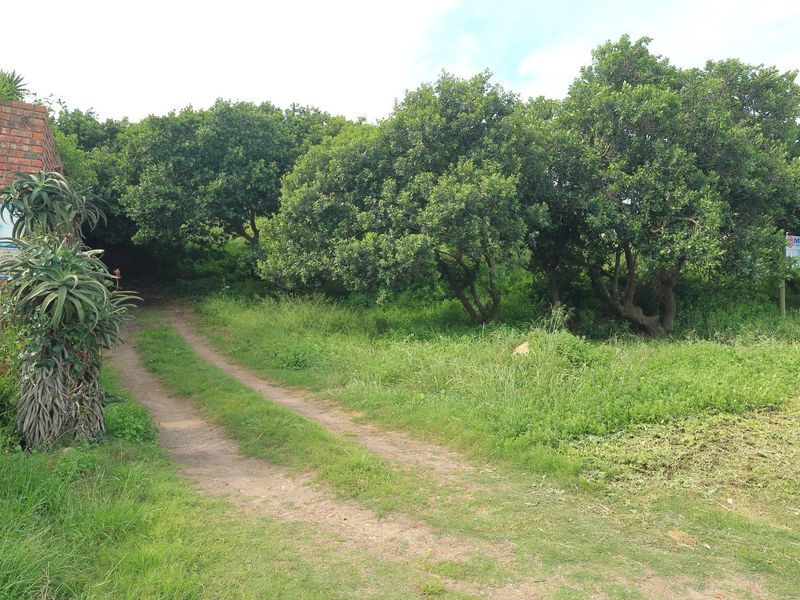 A view of the property entrance featuring a brick garage structure, a dirt driveway, and established trees on the residential land.