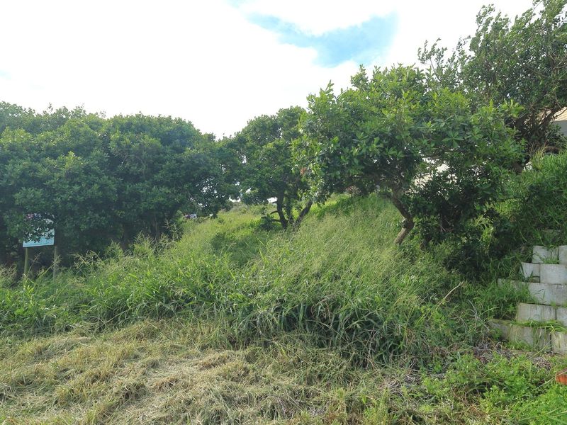A sloped residential plot featuring mature trees, overgrown grass, and a set of concrete block steps leading up the embankment.