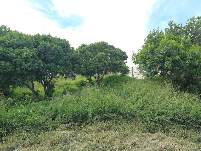 A sloped residential plot featuring established trees and a concrete retaining wall, offering potential for landscaping or development.