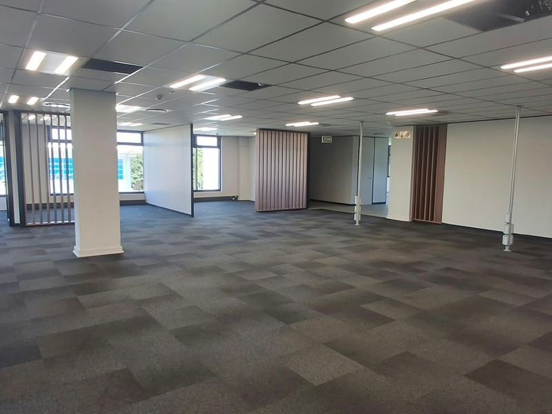 Spacious open-plan commercial office area featuring suspended ceilings, recessed lighting, and durable carpet tiles, offering a versatile and professional workspace environment.