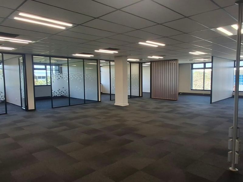 Spacious open-plan commercial office area featuring modern glass partitioning, suspended ceilings with recessed lighting, and durable carpet tile flooring.