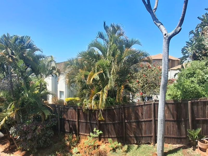 A view of the rear garden area featuring a wooden boundary fence, mature palm trees, and a portion of a thatched roof structure.