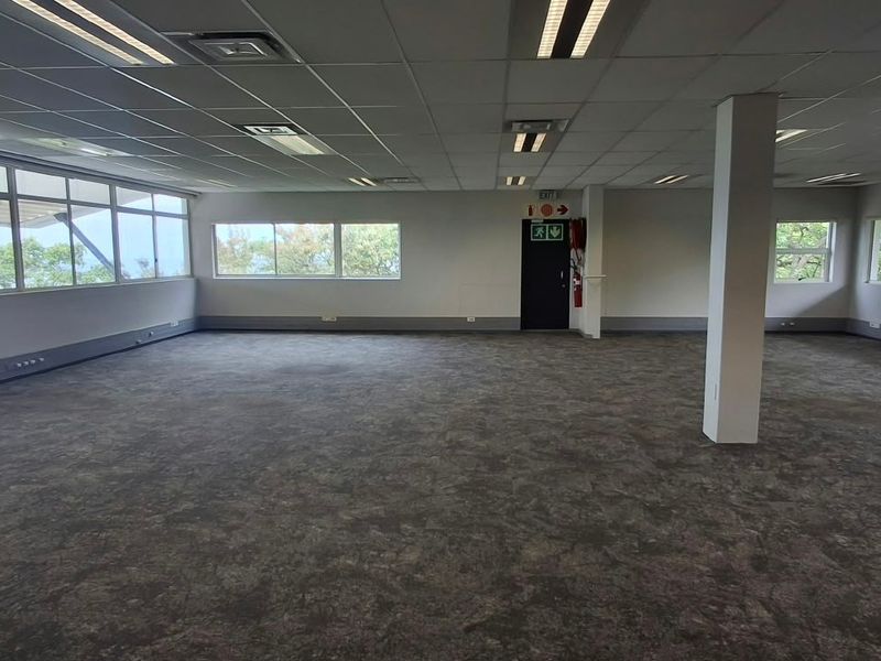 A spacious, open-plan office area featuring large windows, carpeted flooring, and a suspended ceiling with recessed lighting.