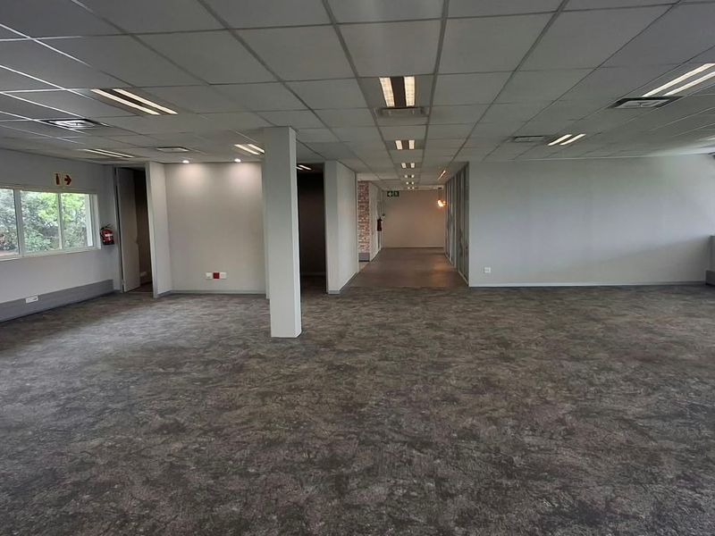 Spacious open-plan office area featuring a suspended ceiling, recessed lighting, large windows providing natural light, and neutral carpeted flooring.