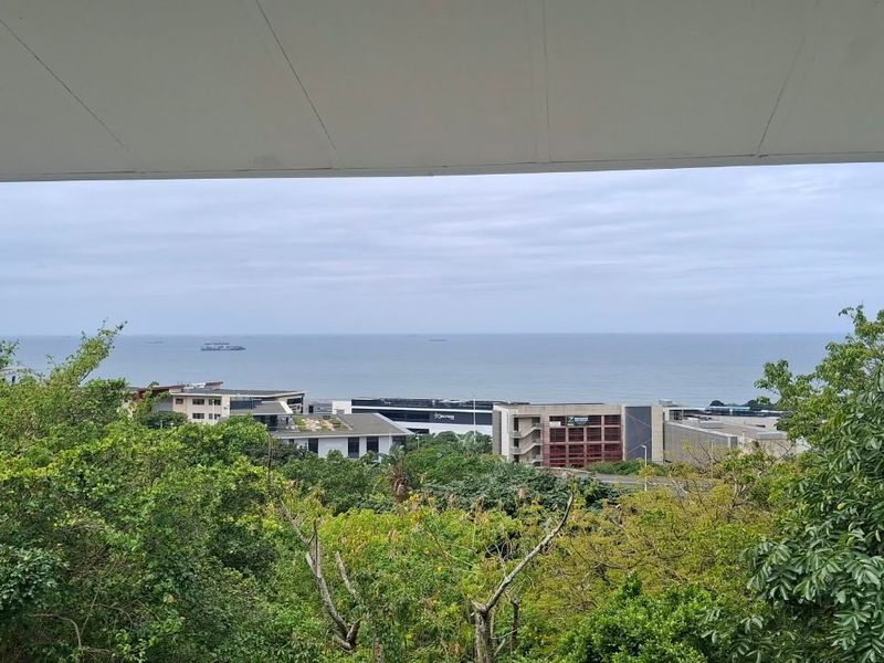 Elevated view overlooking lush greenery, surrounding office buildings, and the ocean horizon.