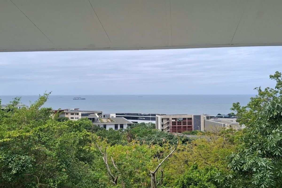 Elevated view overlooking lush greenery, surrounding office buildings, and the ocean horizon.