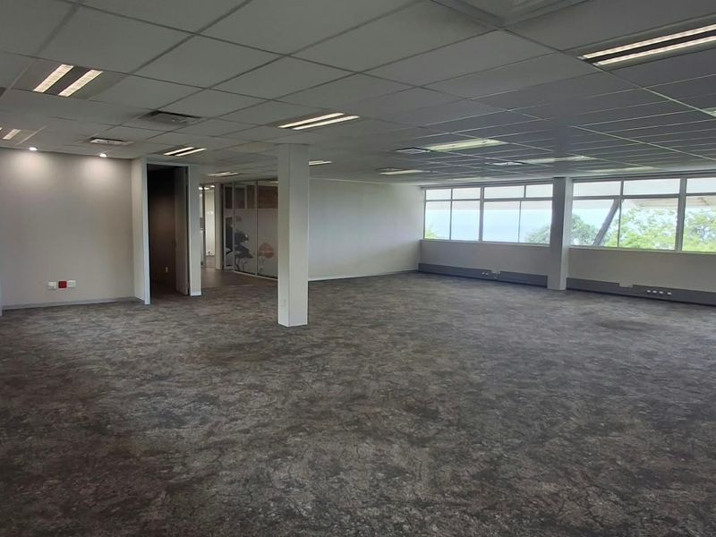 A spacious, open-plan office area featuring a suspended ceiling, recessed lighting, carpeted flooring, and large windows providing ample natural light.
