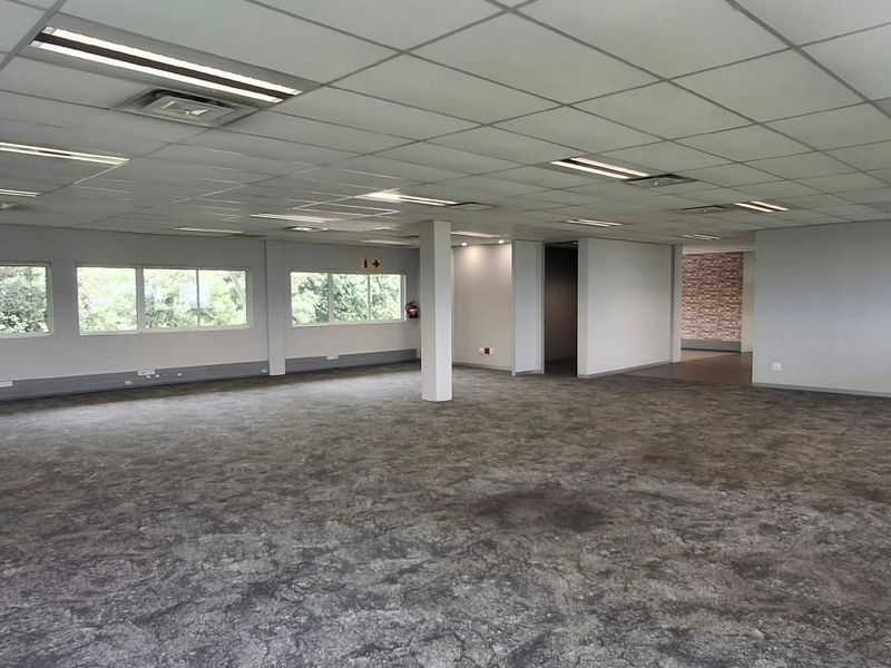 A spacious, open-plan office area featuring a suspended ceiling, recessed lighting, and carpeted flooring, providing a versatile workspace ready for custom configuration.