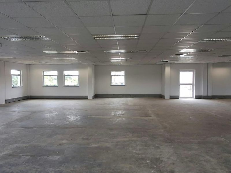 A spacious, open-plan office area featuring a suspended ceiling, recessed lighting, and concrete flooring, offering a blank canvas for custom workspace configuration.