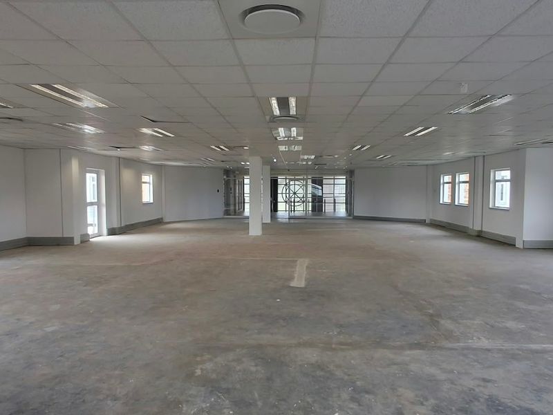 A large, open-plan office space featuring a suspended ceiling, recessed lighting, and unfinished concrete flooring, offering a blank canvas for custom fit-outs.