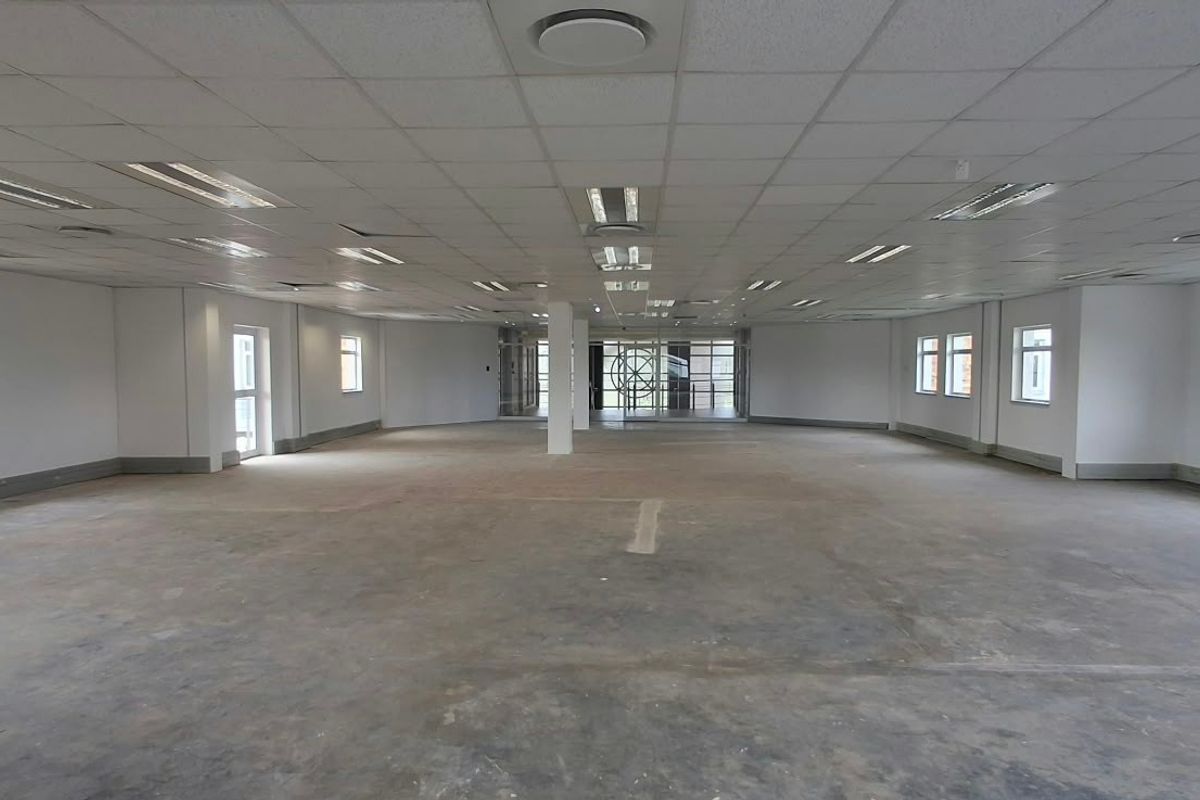 A large, open-plan office space featuring a suspended ceiling, recessed lighting, and unfinished concrete flooring, offering a blank canvas for custom fit-outs.