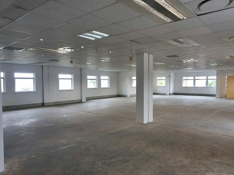 A large, open-plan office space featuring a suspended ceiling, recessed lighting, and exposed concrete flooring, offering a blank canvas for custom fit-outs.