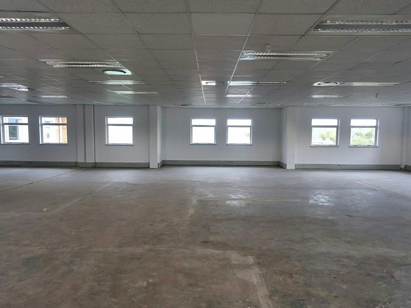 A spacious, open-plan office area featuring a suspended ceiling, recessed lighting, and large windows providing ample natural light.