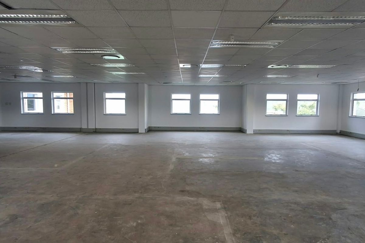 A spacious, open-plan office area featuring a suspended ceiling, recessed lighting, and large windows providing ample natural light.