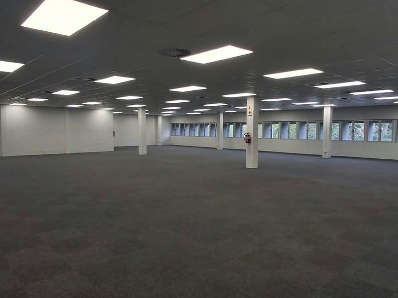 A spacious, open-plan commercial office area featuring a suspended ceiling, recessed lighting, carpeted flooring, and large windows providing natural light.