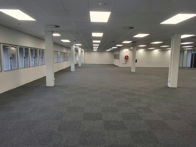 A spacious, open-plan commercial office area featuring a suspended ceiling, recessed lighting, carpeted flooring, and large windows providing natural light.