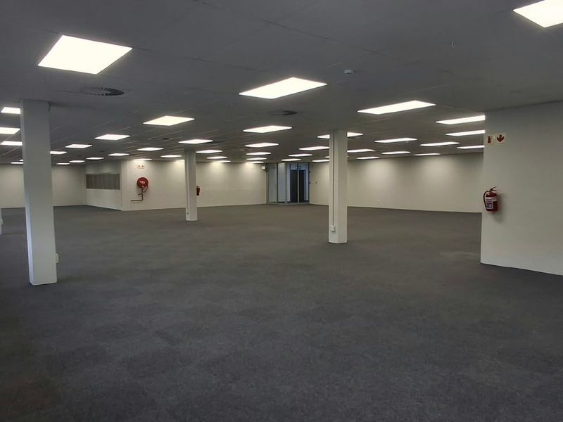A spacious, open-plan commercial office area featuring a suspended ceiling, recessed lighting, carpeted flooring, and structural columns, offering a versatile workspace.