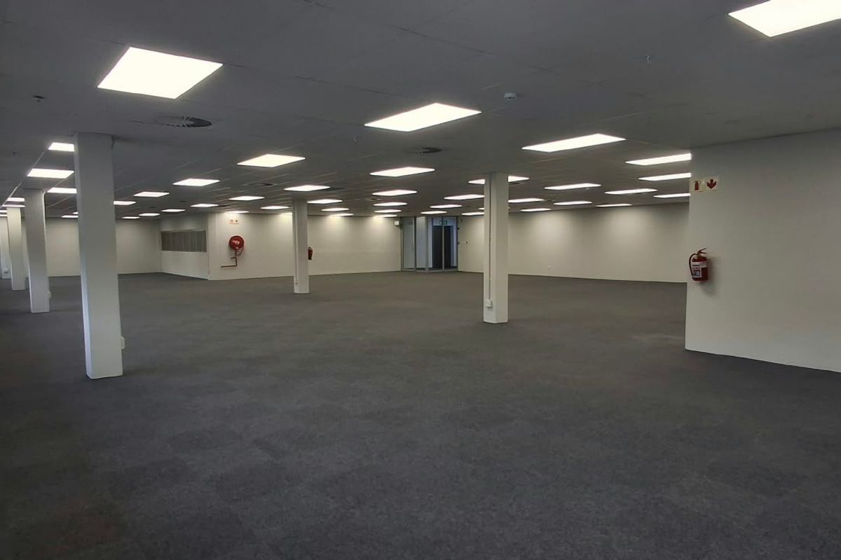 A spacious, open-plan commercial office area featuring a suspended ceiling, recessed lighting, carpeted flooring, and structural columns, offering a versatile workspace.