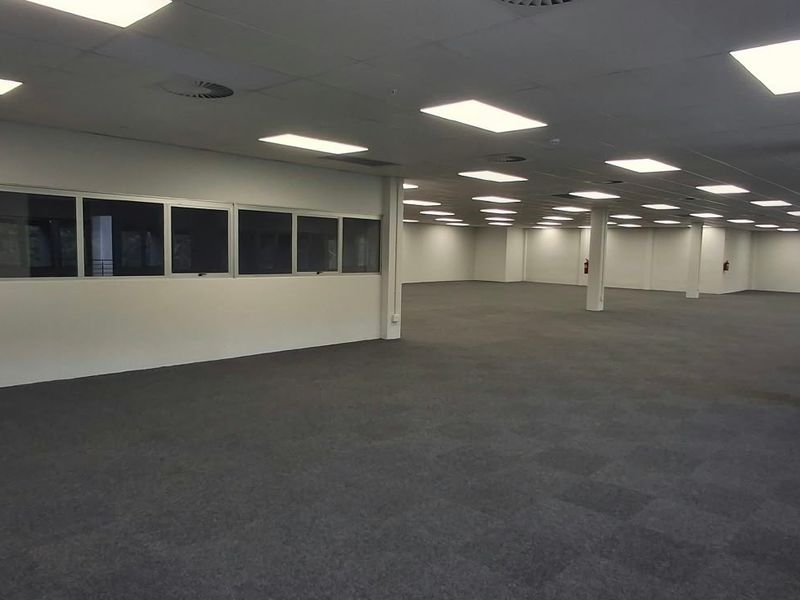 A spacious, open-plan commercial office area featuring carpeted flooring, recessed ceiling lighting, and structural support columns, offering a versatile workspace layout.