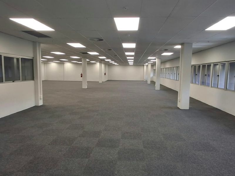 A spacious, open-plan commercial office area featuring neutral carpet tiles, suspended ceilings with recessed lighting, and large windows providing ample natural light.
