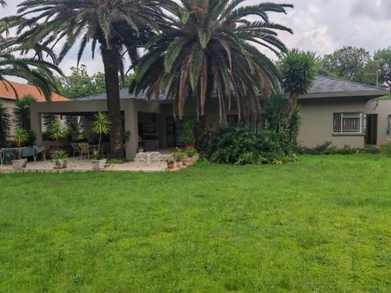 Rear view of the property featuring a covered patio area, established palm trees, and a spacious garden.