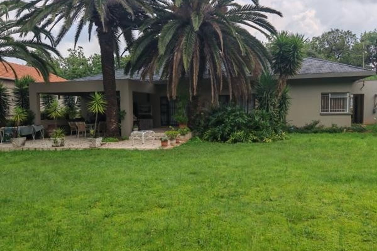 Rear view of the property featuring a covered patio area, established palm trees, and a spacious garden.
