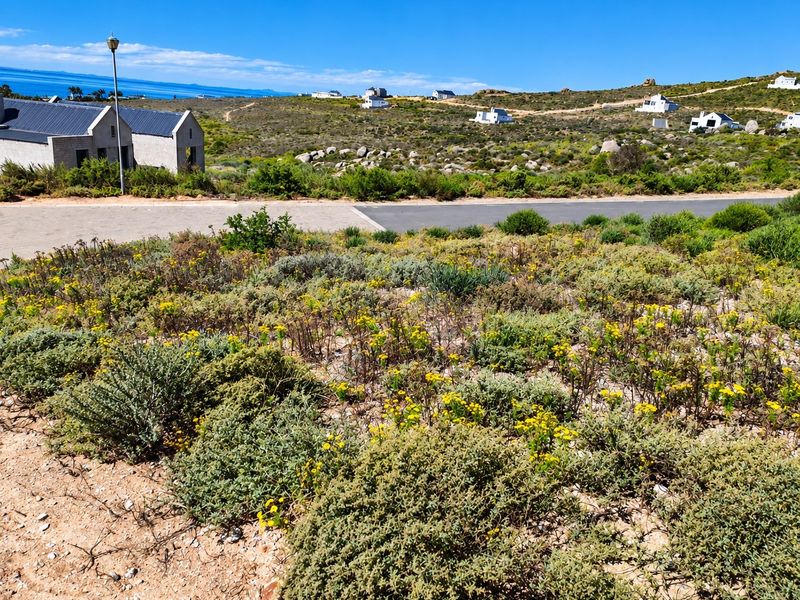 A scenic view of the surrounding coastal landscape, featuring natural vegetation, paved road access, and distant residential properties under a clear blue sky.
