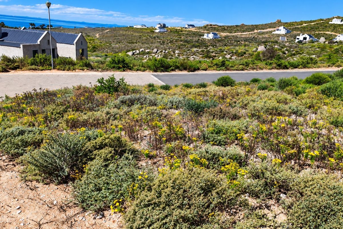 A scenic view of the surrounding coastal landscape, featuring natural vegetation, paved road access, and distant residential properties under a clear blue sky.