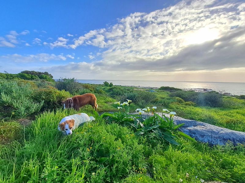A scenic coastal view featuring natural vegetation and ocean horizon, showcasing the property's prime location.