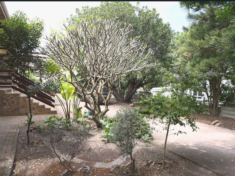 A mature garden area featuring a paved driveway, established trees, and a stone-clad retaining wall with timber stairs leading to the property entrance.
