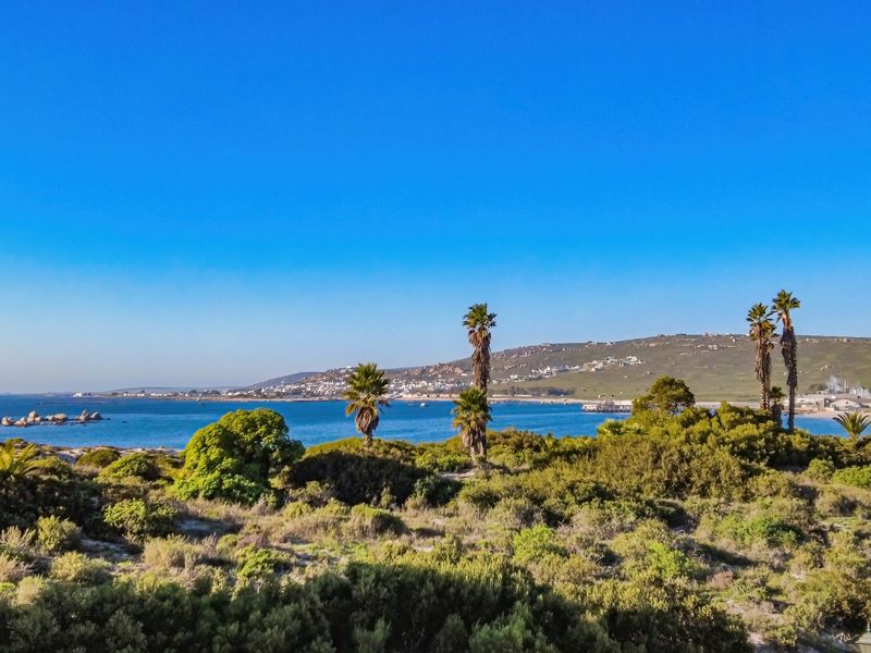 A scenic coastal view overlooking the ocean, natural shrubbery, and distant hillside landscape under a clear blue sky.
