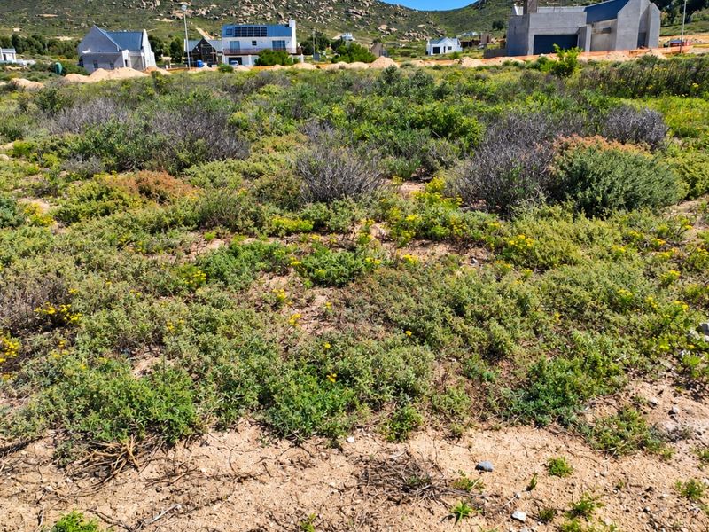 A view of a vacant residential plot featuring natural vegetation with surrounding residential development in the background.