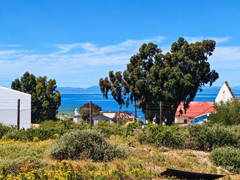 A scenic view of the ocean and distant mountains captured from the vacant residential land, featuring mature trees and surrounding neighborhood structures.