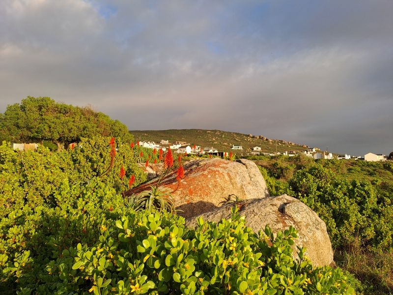 A scenic view of the natural landscape featuring large granite boulders and indigenous coastal flora with distant residential properties in the background.