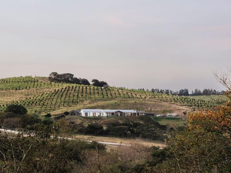 A wide-angle aerial view of a modern, single-story residence nestled within a vast, rolling landscape of orchards and natural vegetation.