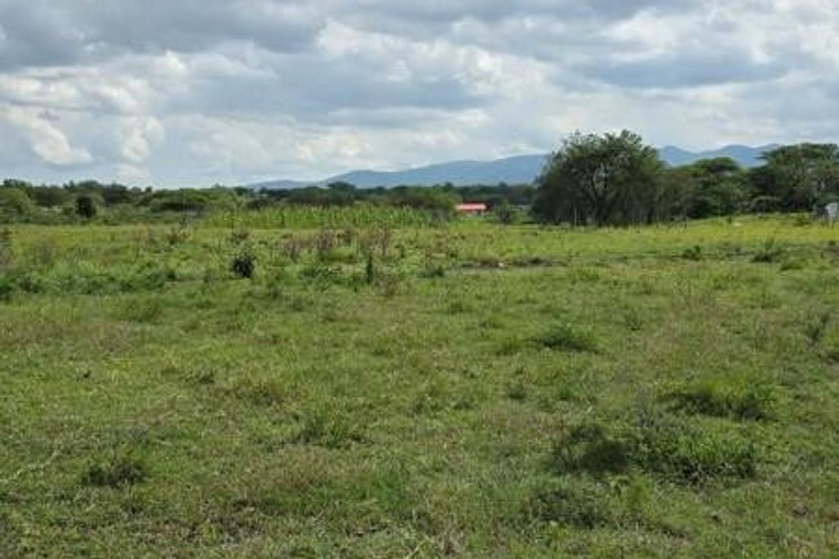 A wide-angle view of a vacant residential plot featuring open grassland and mature trees under a cloudy sky.