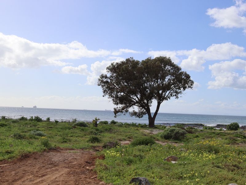 A scenic view of the coastal landscape featuring natural vegetation and direct ocean frontage.